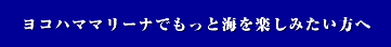 ヨコハママリーナでもっと海を楽しみたい方へ