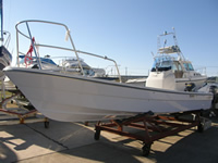 TOHATSU TFW-25R