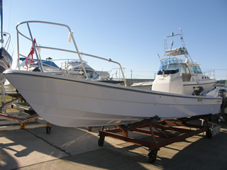 TOHATSU TFW-25R